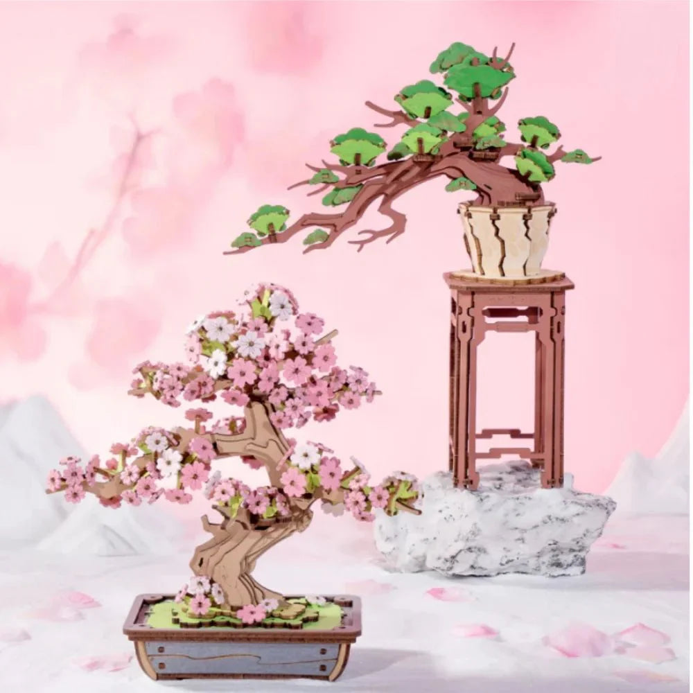 Sakura Bonsai - HiNooki