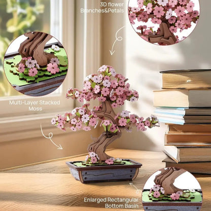 Sakura Bonsai - HiNooki